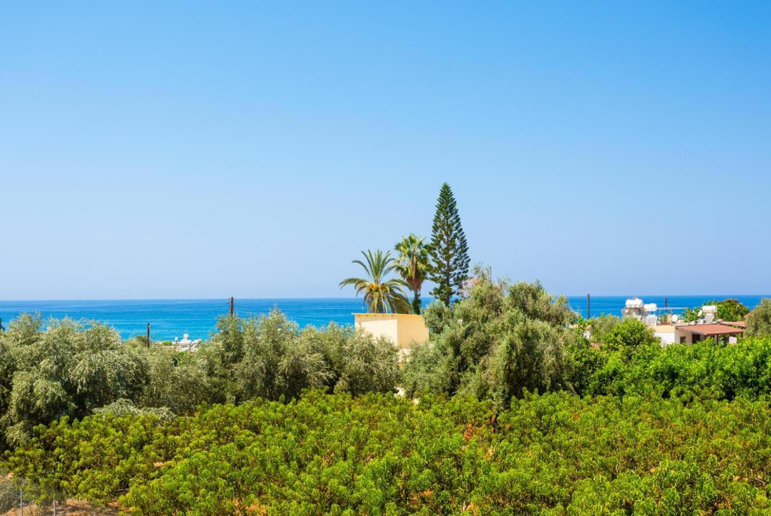 Villa Olivetta Kato Yialia Exteriér fotografie